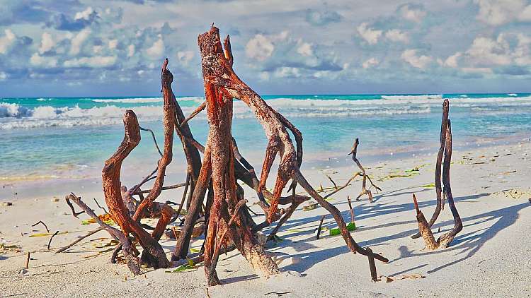 Varadero